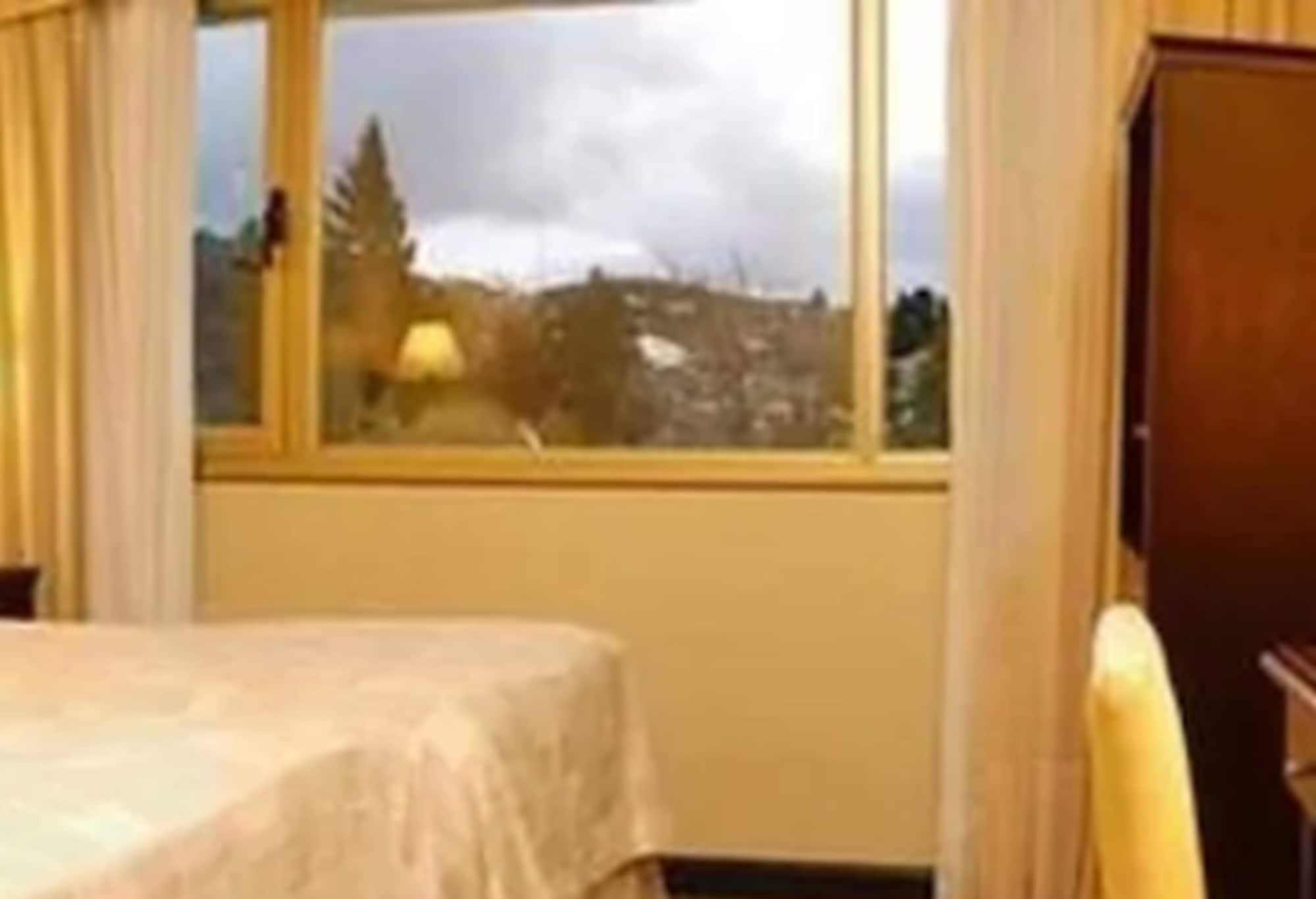 Kenton Palace Bariloche Dış mekan fotoğraf